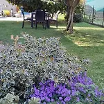 Fontana Fiorita *
