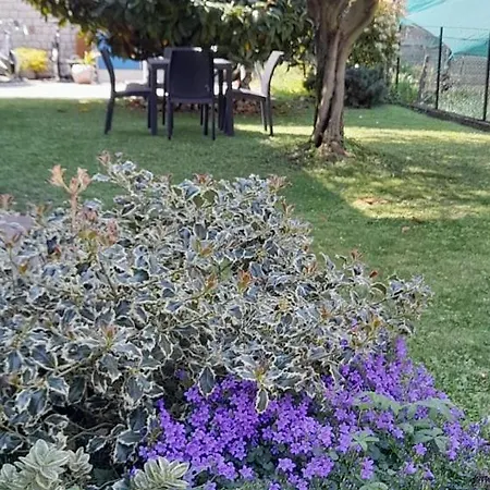 Fontana Fiorita *