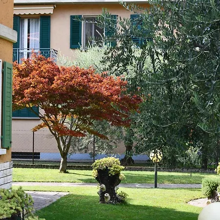 Fontana Fiorita